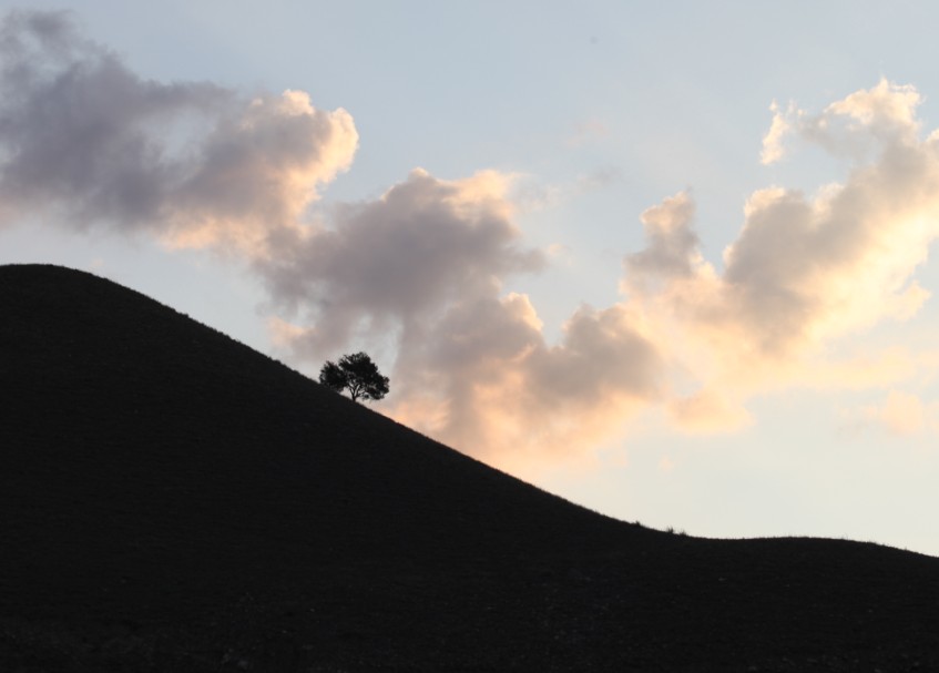 消息樹（新疆慶華集團園區外景）
